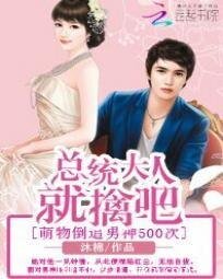《总统大人就擒吧:倒追男神五百次》