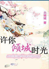 《许你倾城时光》