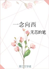 《一念向西》