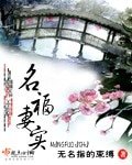 《名福妻实》