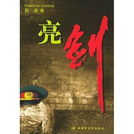 亮剑（出书版）