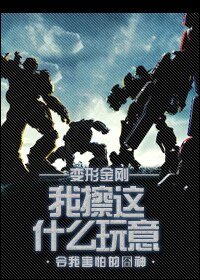 《(BG-变形金刚同人)我擦这什么玩意》
