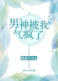 《男神被我气疯了》