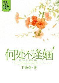 《何处不逢婳》