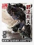 《武法无天》