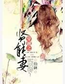《穿越之贤能妻》