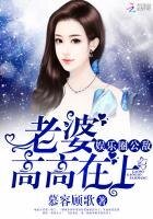 《娱乐圈公敌:老婆,高高在上》