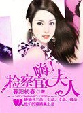 《嗨,检察官夫人》
