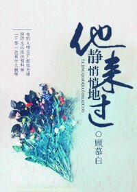 《他静悄悄地来过》