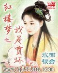 《(红楼同人)红楼梦之我是贾环》