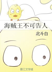 《(海贼王同人)海贼王不可告人》