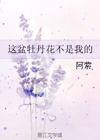 《这盆牡丹花不是我的》