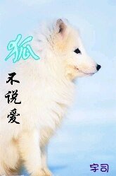 《狐不说爱》