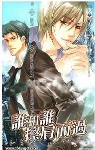 《谁和谁擦肩而过(出书版)》