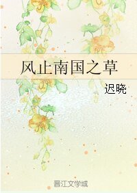 《(火影同人)风止南国之草》
