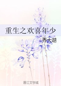 《重生之欢喜年少》