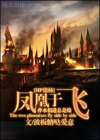 《(HP德赫同人) The two phoenixes fly side by side/凤凰于飞》