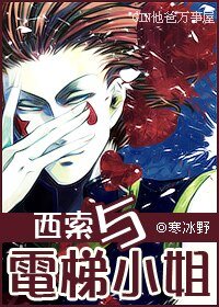 《(猎人同人)西索与电梯小姐》