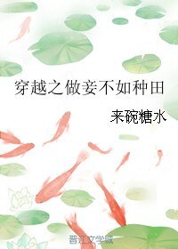 《穿越之做妾不如种田》