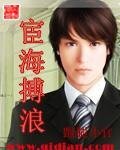《宦海搏浪》