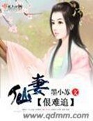 《仙妻佷难追》
