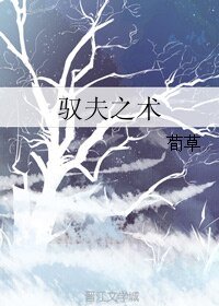 《驭夫之术》