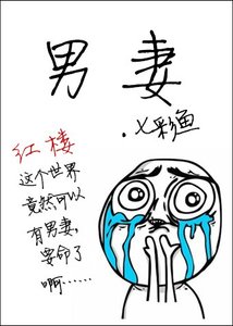 《(红楼同人)男妻》