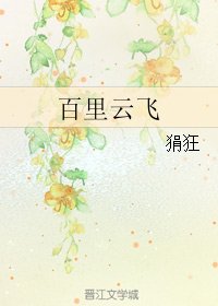 《百里云飞》