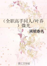 （BL/全职同人）（叶乔）微光