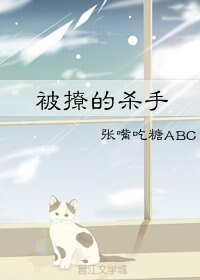 《被撩的杀手/雏菊手帕》