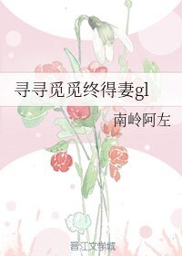《寻寻觅觅终得妻gl》
