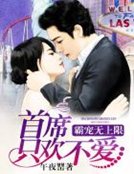 《霸宠无上限:首席只欢不爱》