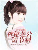 幸孕成婚:神秘老公请节制