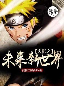 《火影之未来新世界》