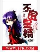 《大唐不良皇婿》