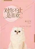 对你不止是喜欢