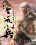 《异世之圣域小兵》