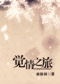 《(网王同人)觉情之旅》