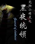 《(宠物小精灵同人)黑夜统领》