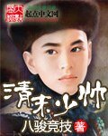 《清末少帅》