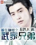 《重生神雕之武家兄弟》