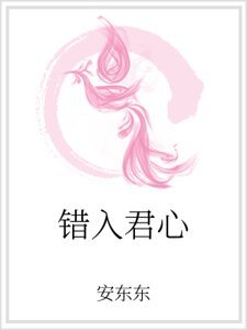 《错入君心》