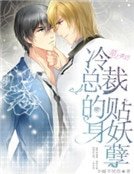 《冷总裁的贴身妖孽》