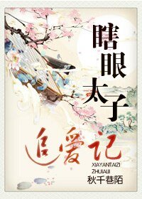 《瞎眼太子追爱记》