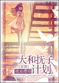 《(家教同人)大和抚子计划》