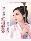 《续红楼之红楼新梦》