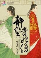 《静皇贵妃传》