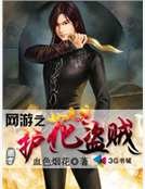 网游之护花盗贼