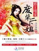《邪王嗜宠:废材二小姐》