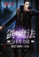 《剑与魔法与卡片力量》